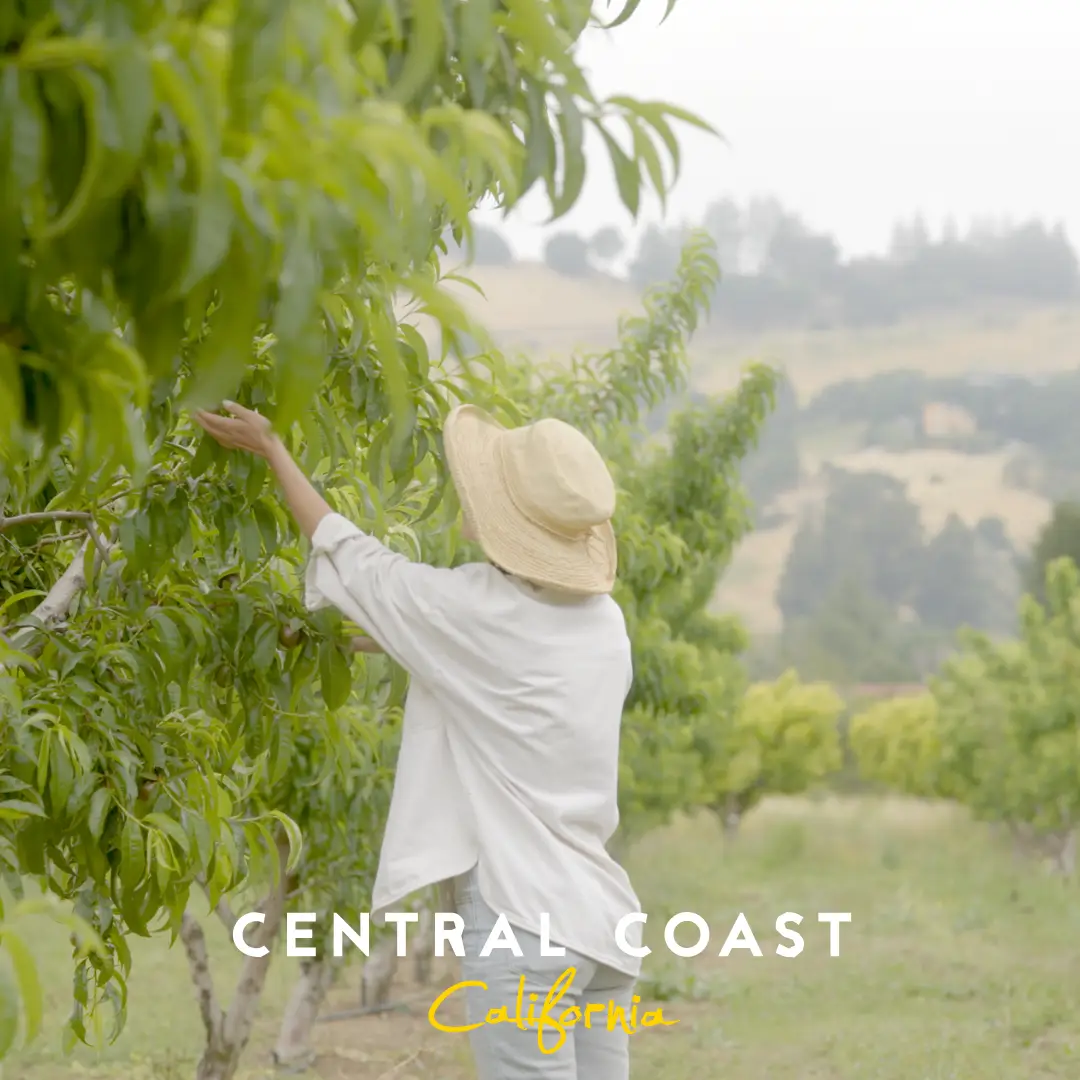 Orchard in California Central Coast